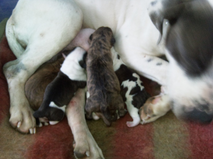 Photo474 - Sara si Leo