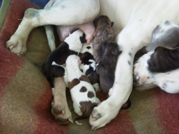 Photo475 - Sara si Leo