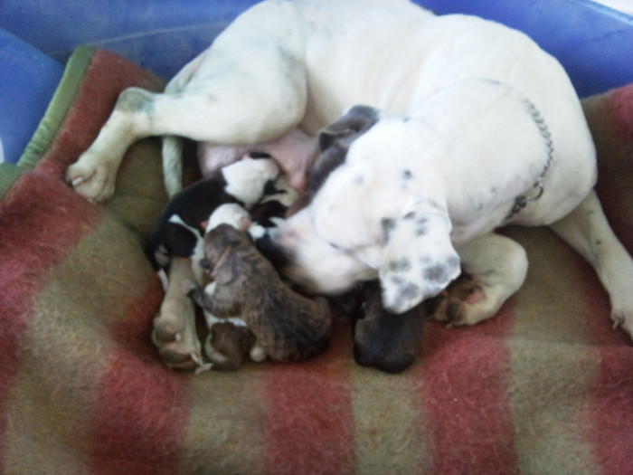 Photo476 - Sara si Leo