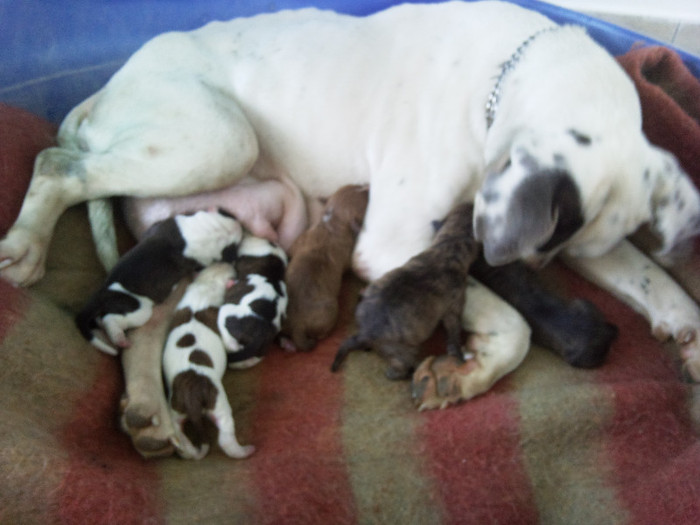 Photo477 - Sara si Leo