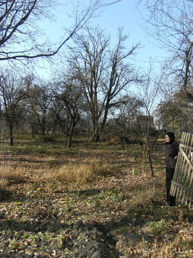 toamna la ocea nov 2011 002