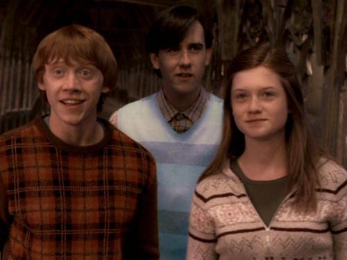 049 - Harry Potter si Ordinul Phoenix 2007