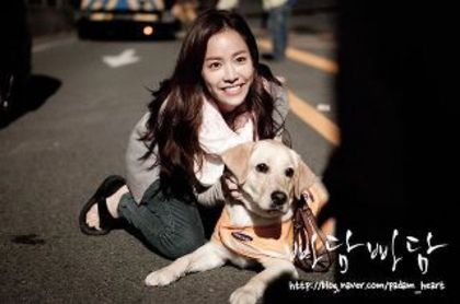 .380028_254209507968420_201020253287346_759245_2072882743_n