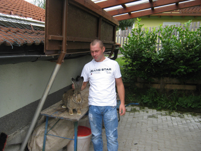 campion Galati Craciun Petru - 7-anunt important