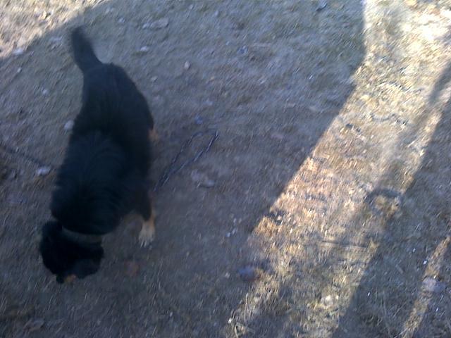 26112011_019 - poze cu mine