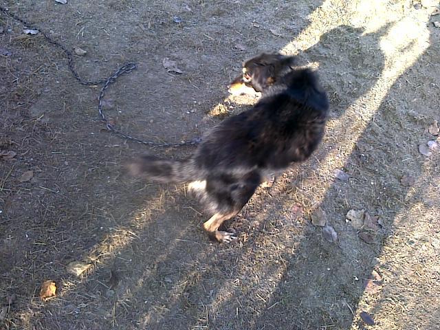 26112011_020 - poze cu mine