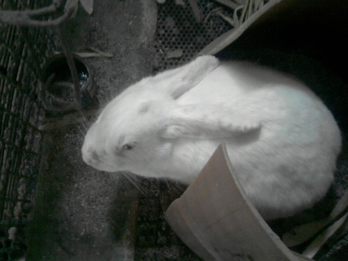 P271111_13.07rila; rila
