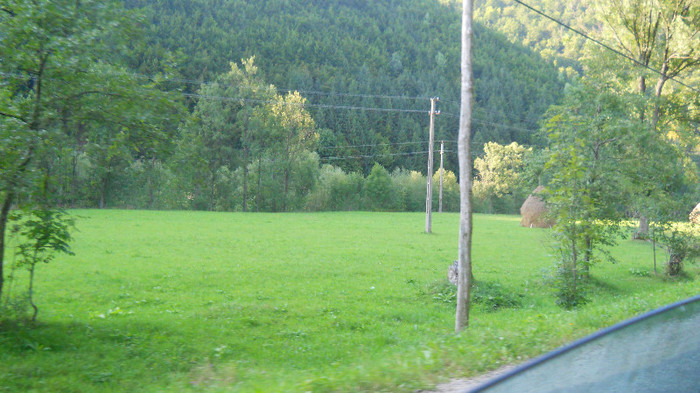 DSCN1322 - Valea Draganului