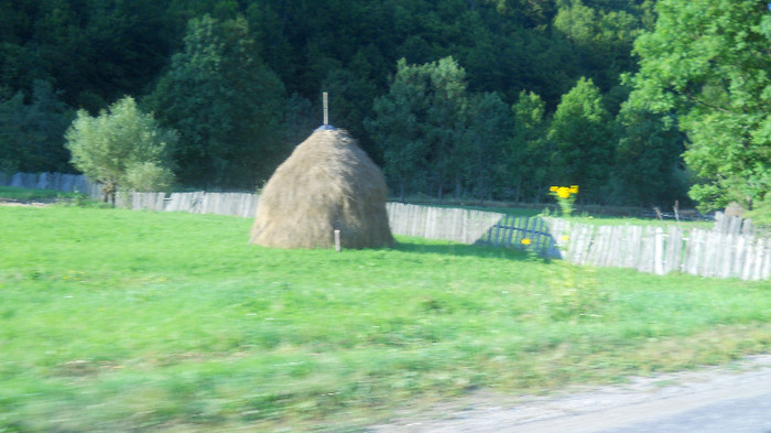 DSCN1323 - Valea Draganului