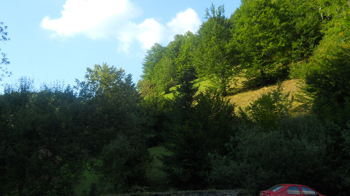 DSCN1300 - Valea Draganului