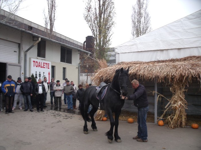 DSCF1283 - POZE expozitie galati 26-27 noiembrie 2011