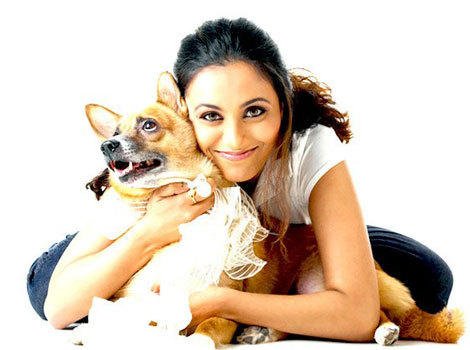 ee14ce6a-6b44-49aa-b653-824f875bc861HiRes