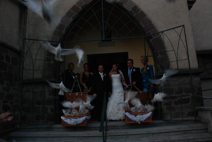 DSC_4360 - weisse Tauben fur Hochzeiten