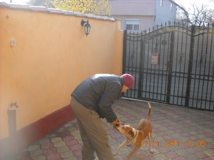 Picture 002