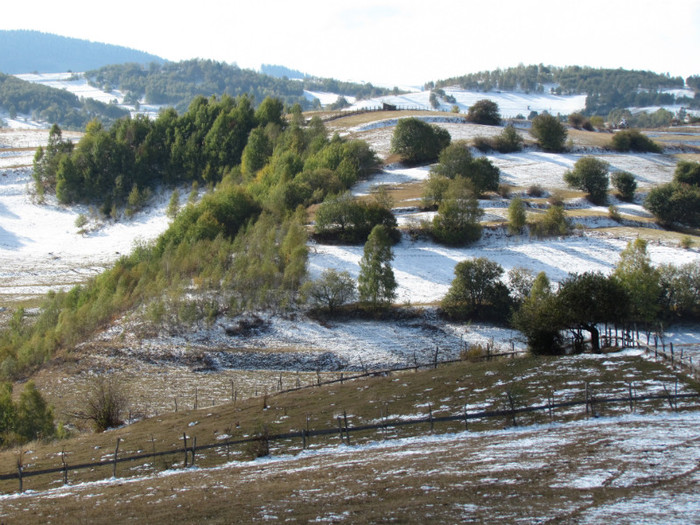 IMG_3714 - Valea Lotrului - Jina