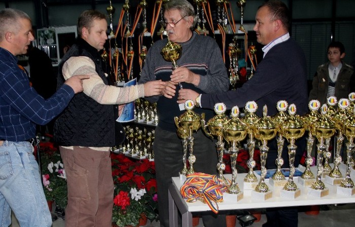 Campion Național Colecție Uriaș gri și campion național masculi și femele - Galati Nationala Uniunii 2011