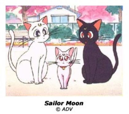 ao_roundup_1 - Sailor moon