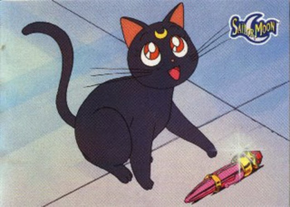 cat011 - Sailor moon