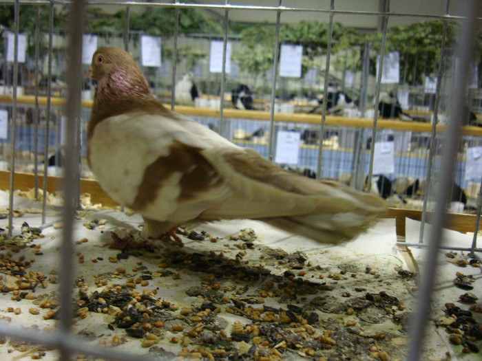 DSC06660