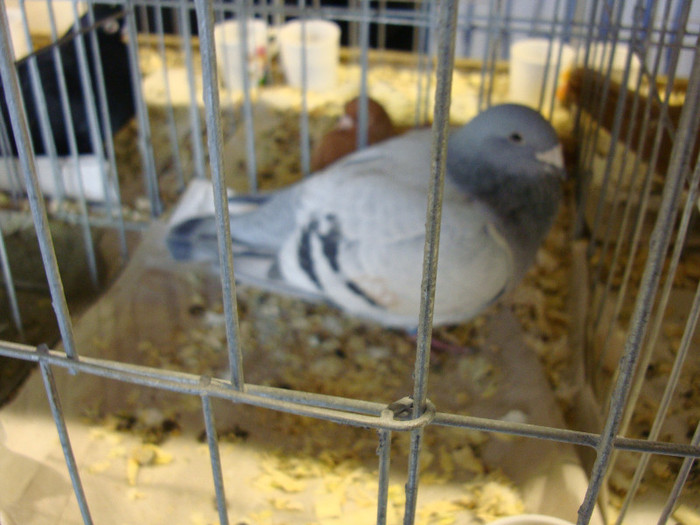 DSC06665