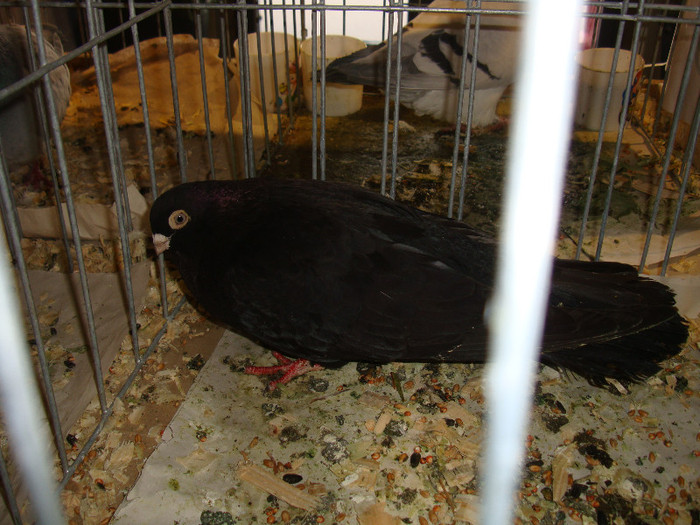 DSC06680