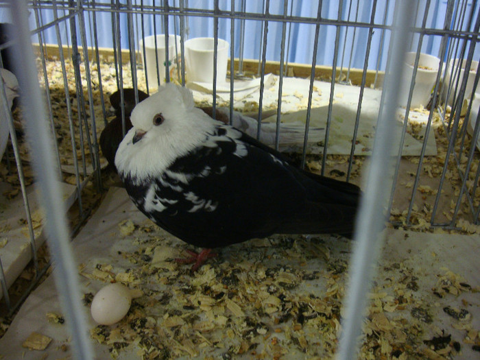 DSC06688