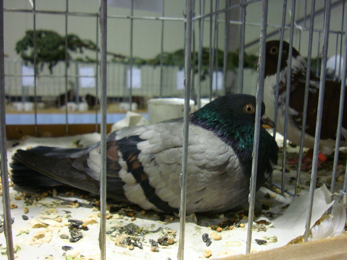 DSC06689