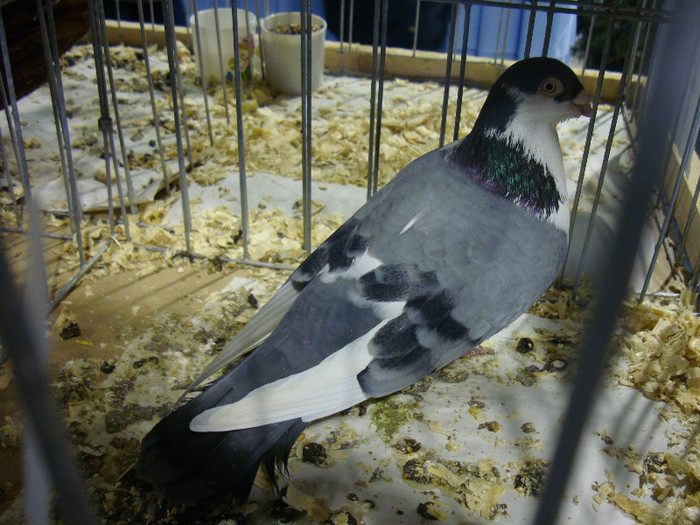 DSC06697