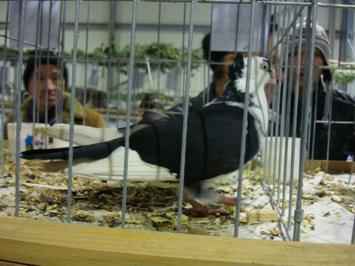 DSC06705