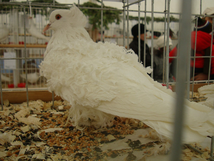 DSC06828