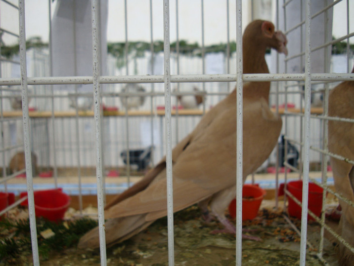 DSC06839