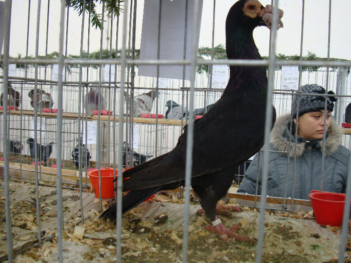 DSC06846