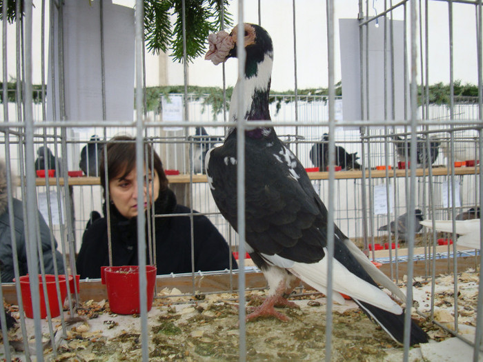 DSC06847