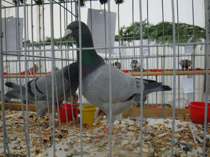 DSC06850