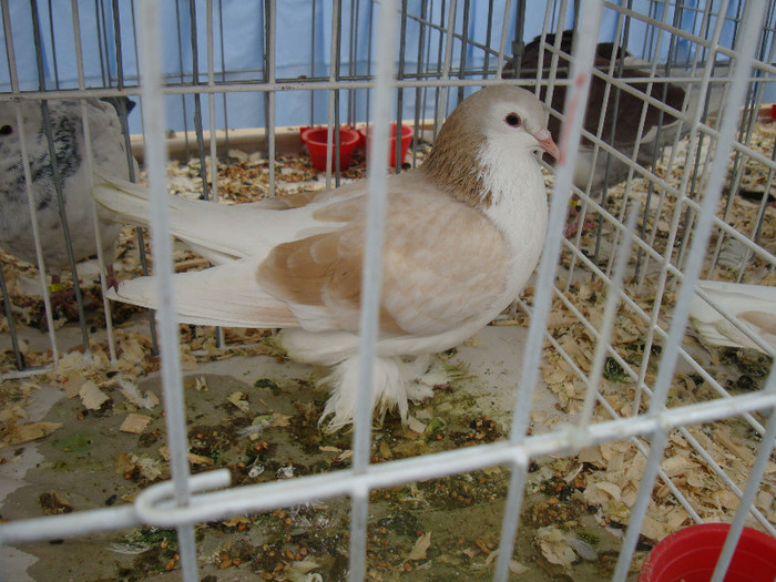 DSC06851