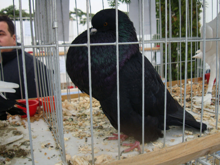 DSC06858