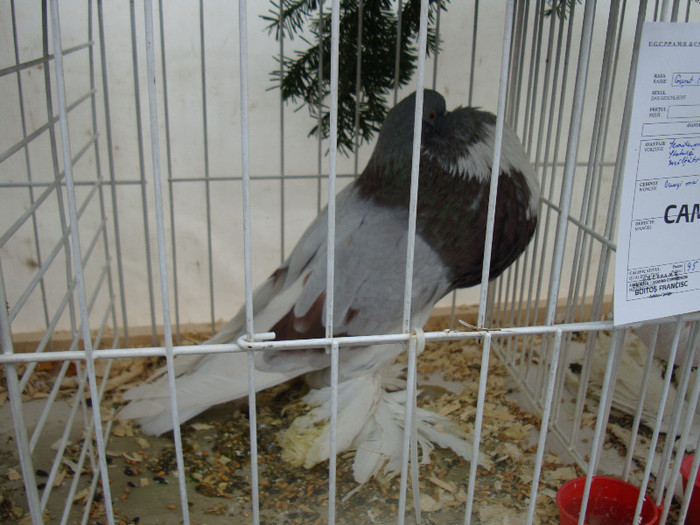 DSC06860