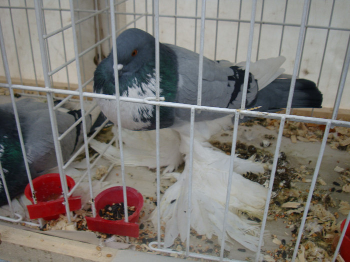 DSC06861