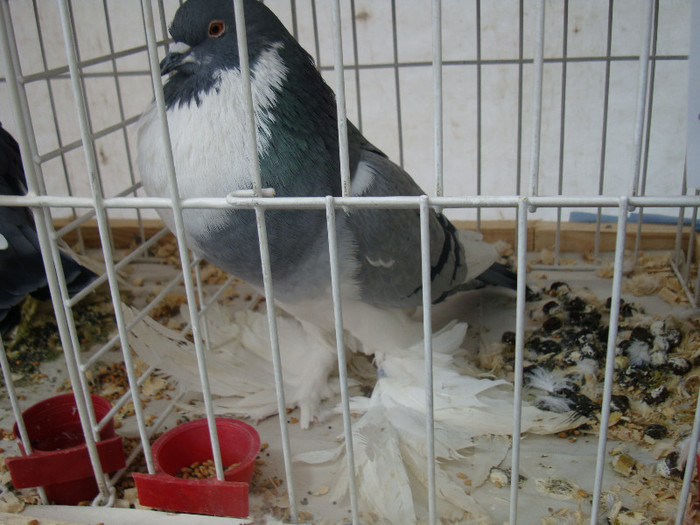 DSC06862