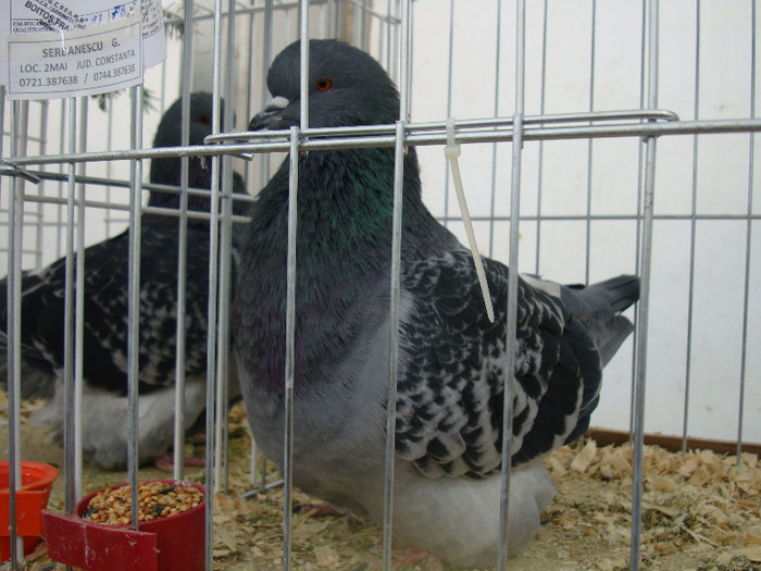 DSC06872