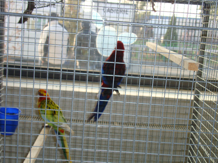 DSC06602