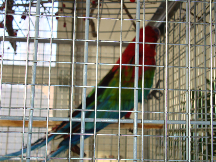 DSC06615