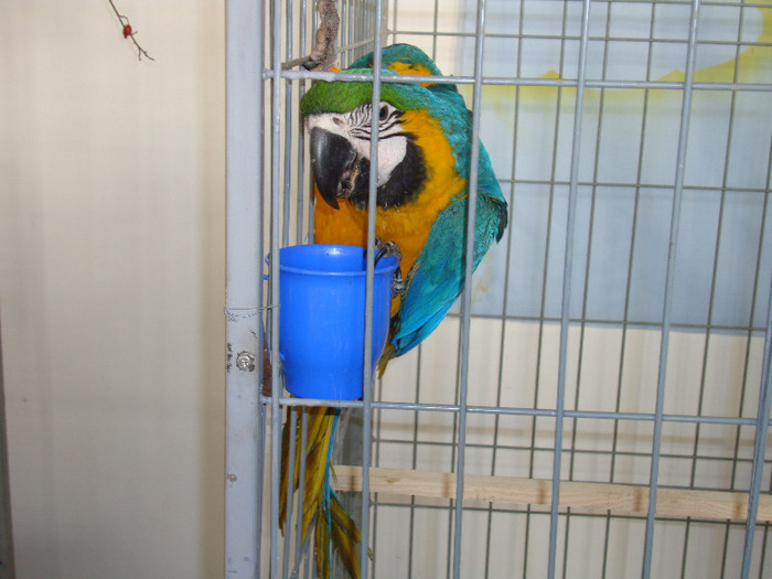 DSC06618