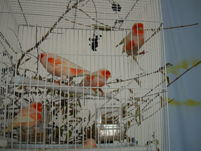 DSC06622
