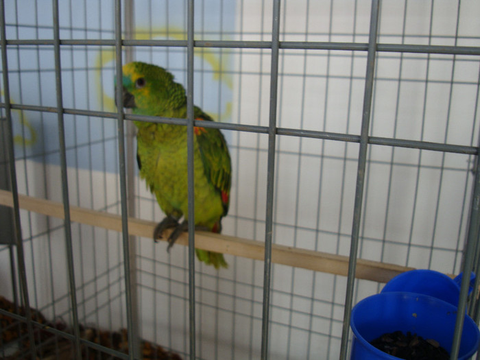 DSC06625
