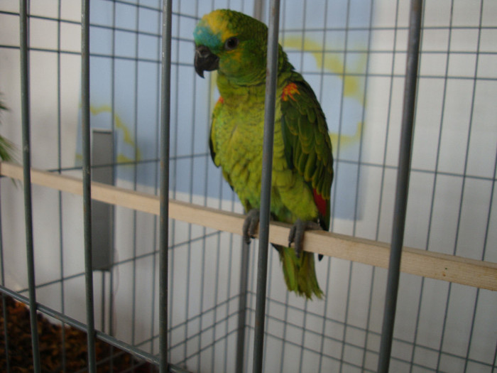 DSC06626