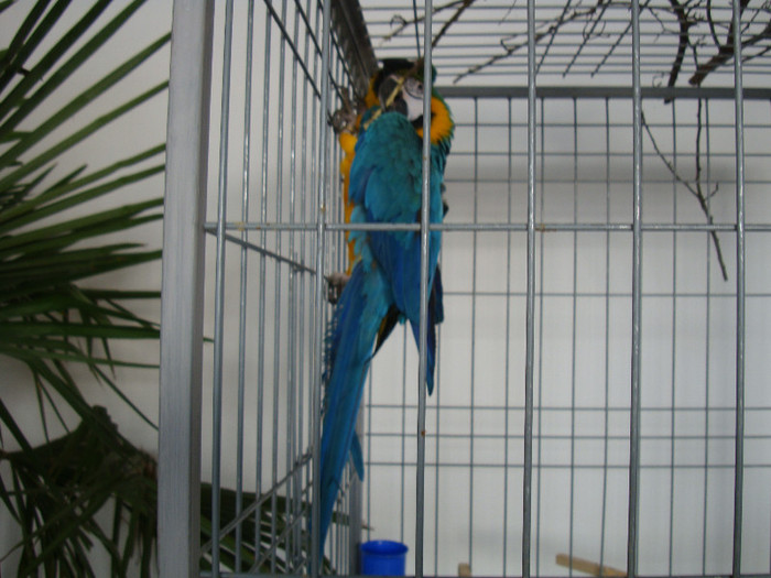 DSC06631