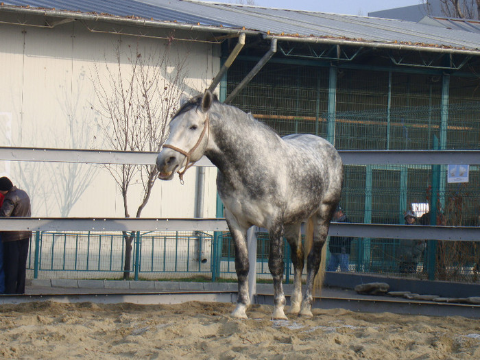 DSC06787