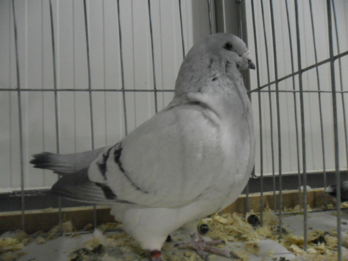 SAM_0750