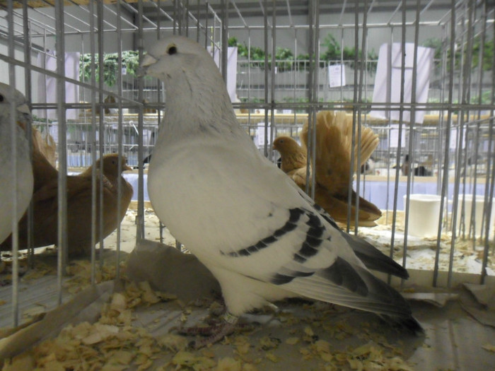 SAM_0757